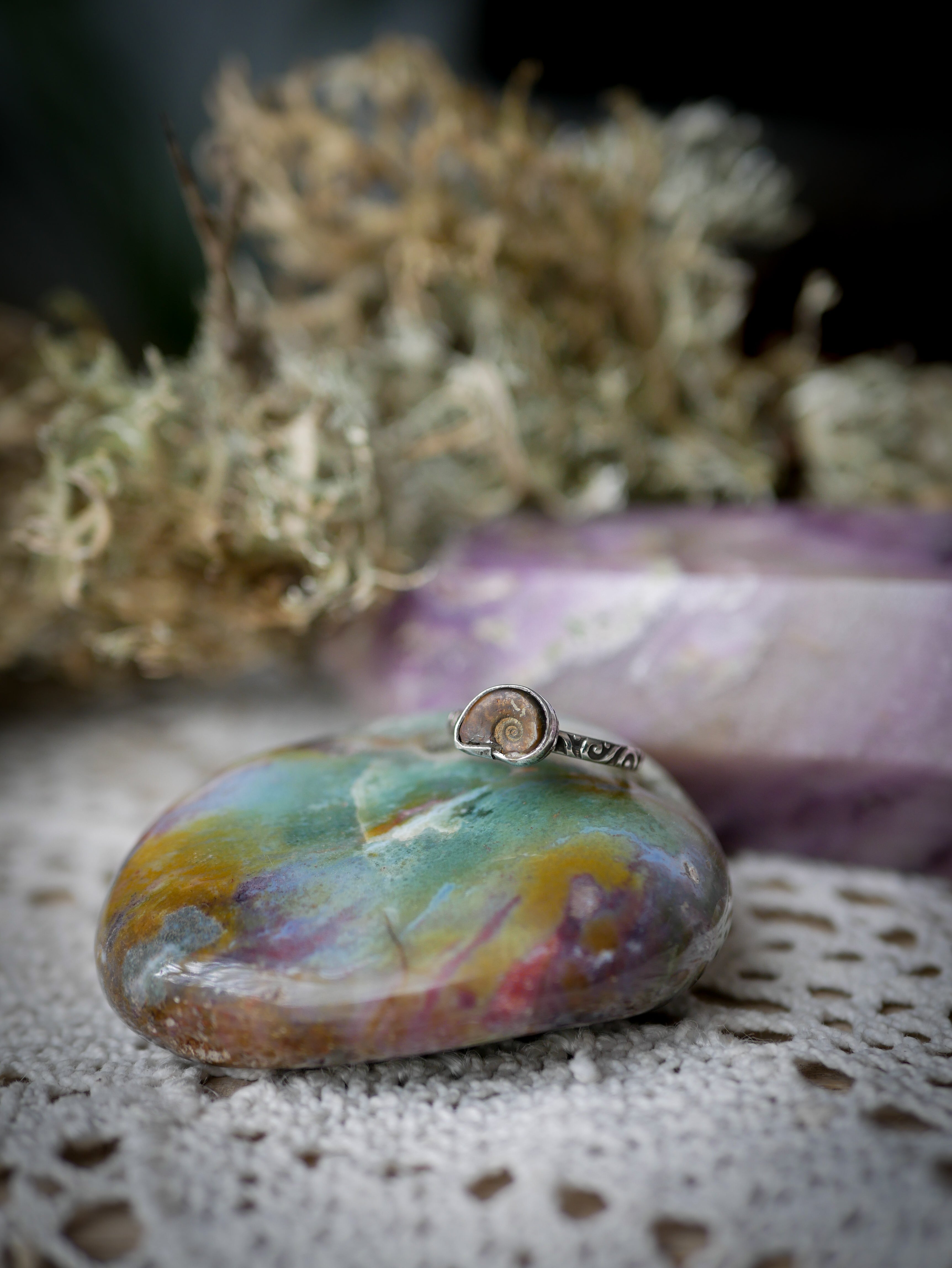 Fossilia - Ammonite Fossil and Silver Ring