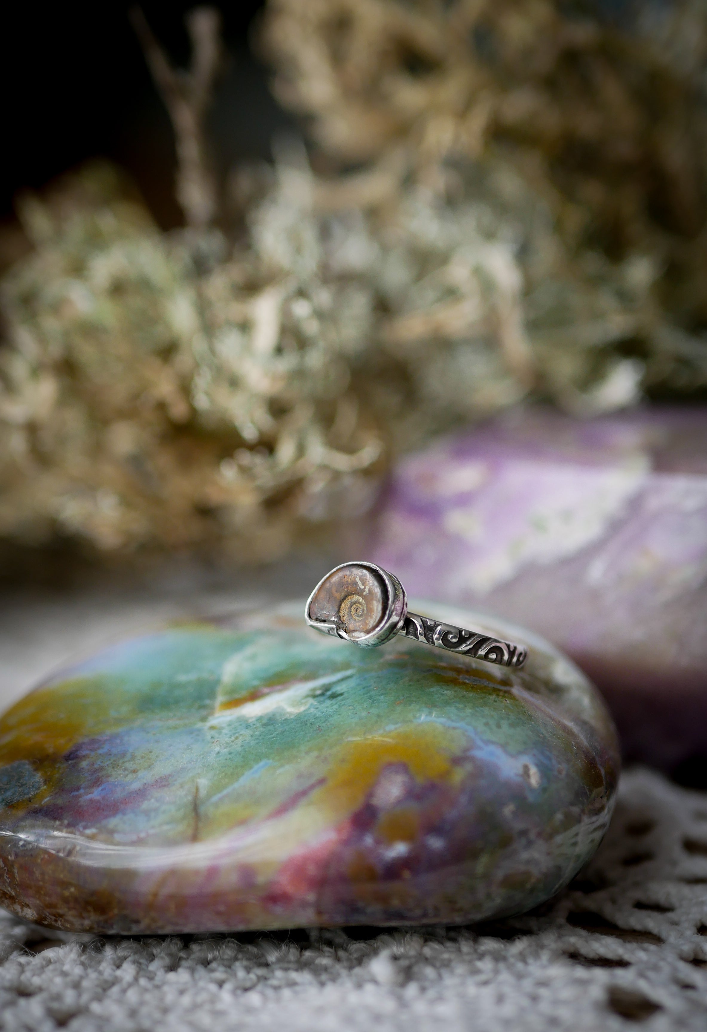 Fossilia - Ammonite Fossil and Silver Ring