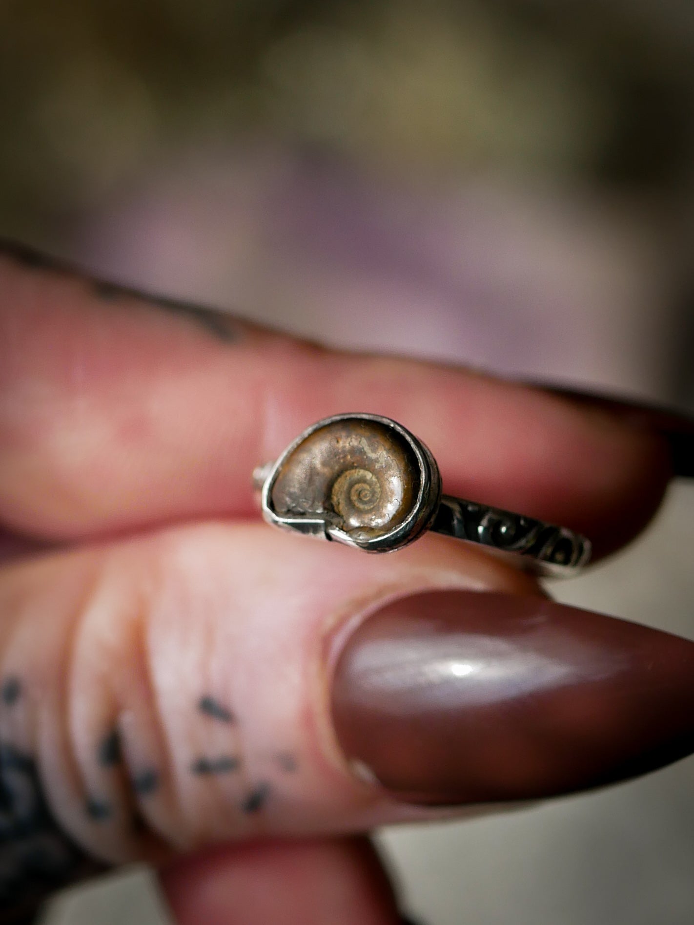 Fossilia - Ammonite Fossil and Silver Ring