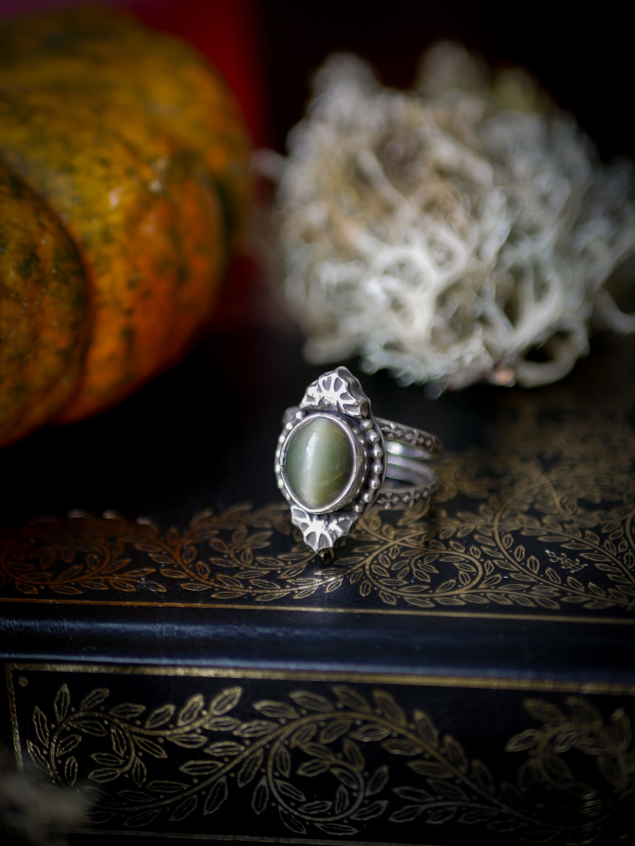 Nosferatu - Actinolite and Silver Ring