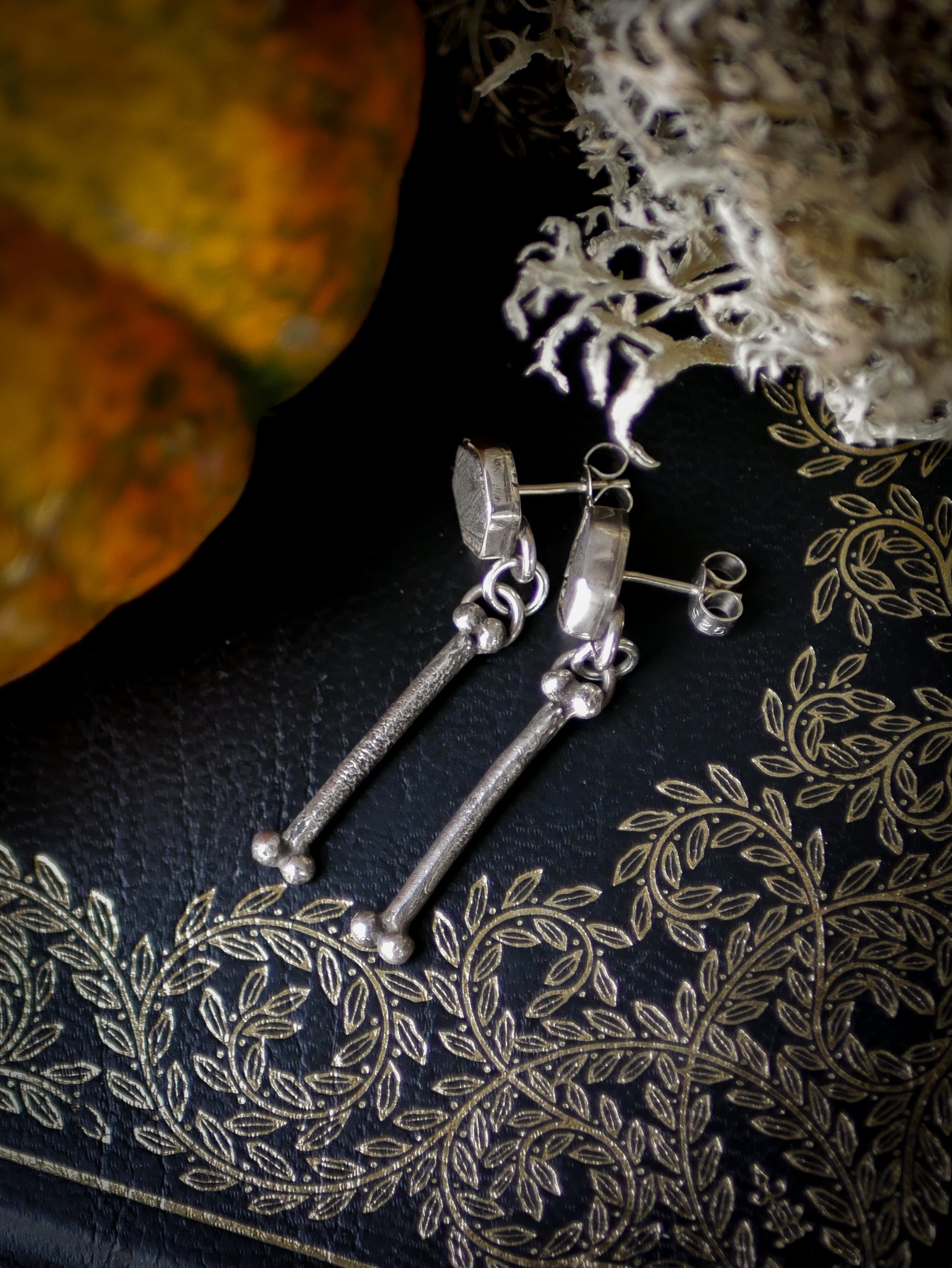 The Ossuary - Gibeon meteorite and silver earrings