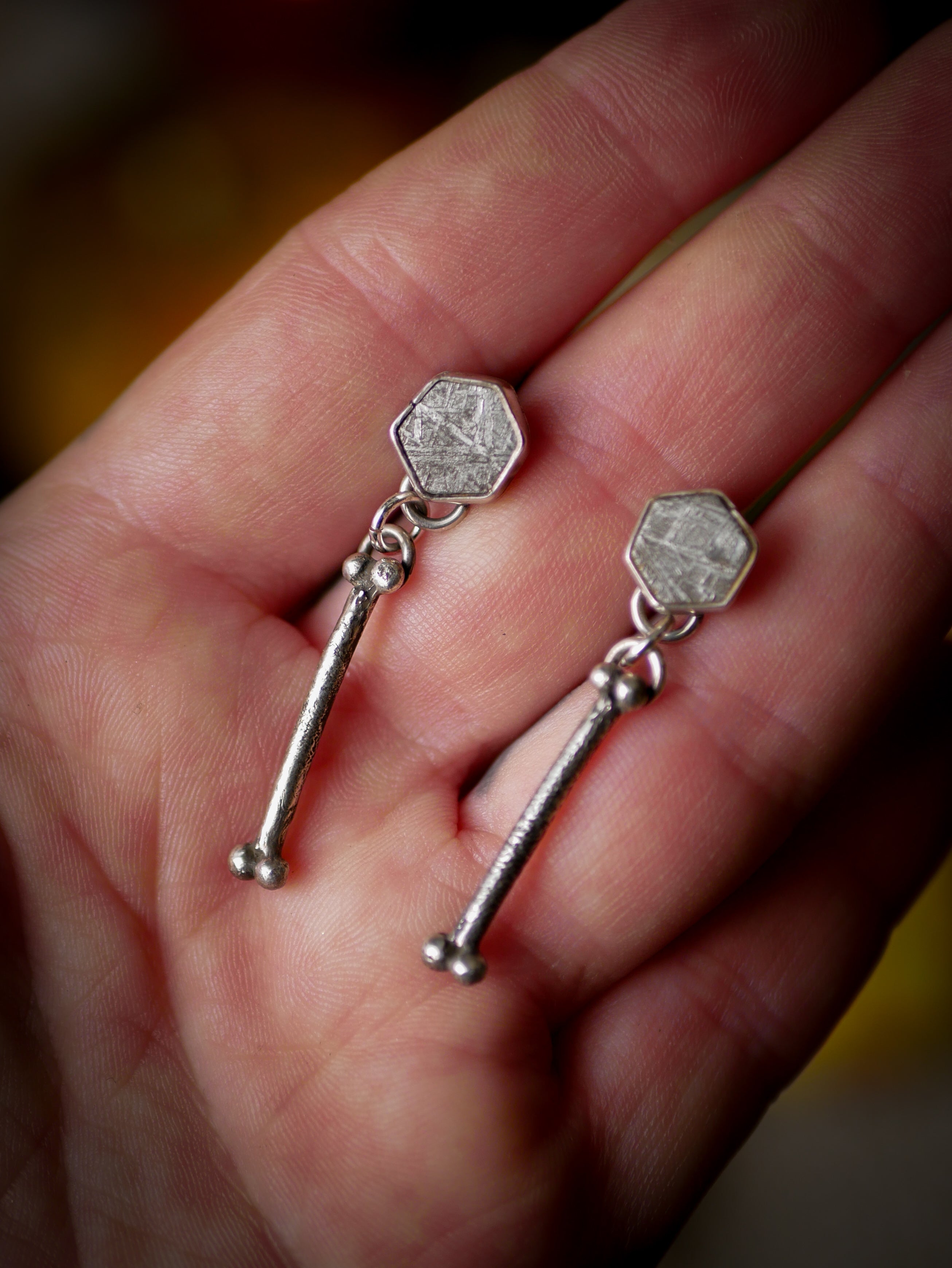 The Ossuary - Gibeon meteorite and silver earrings