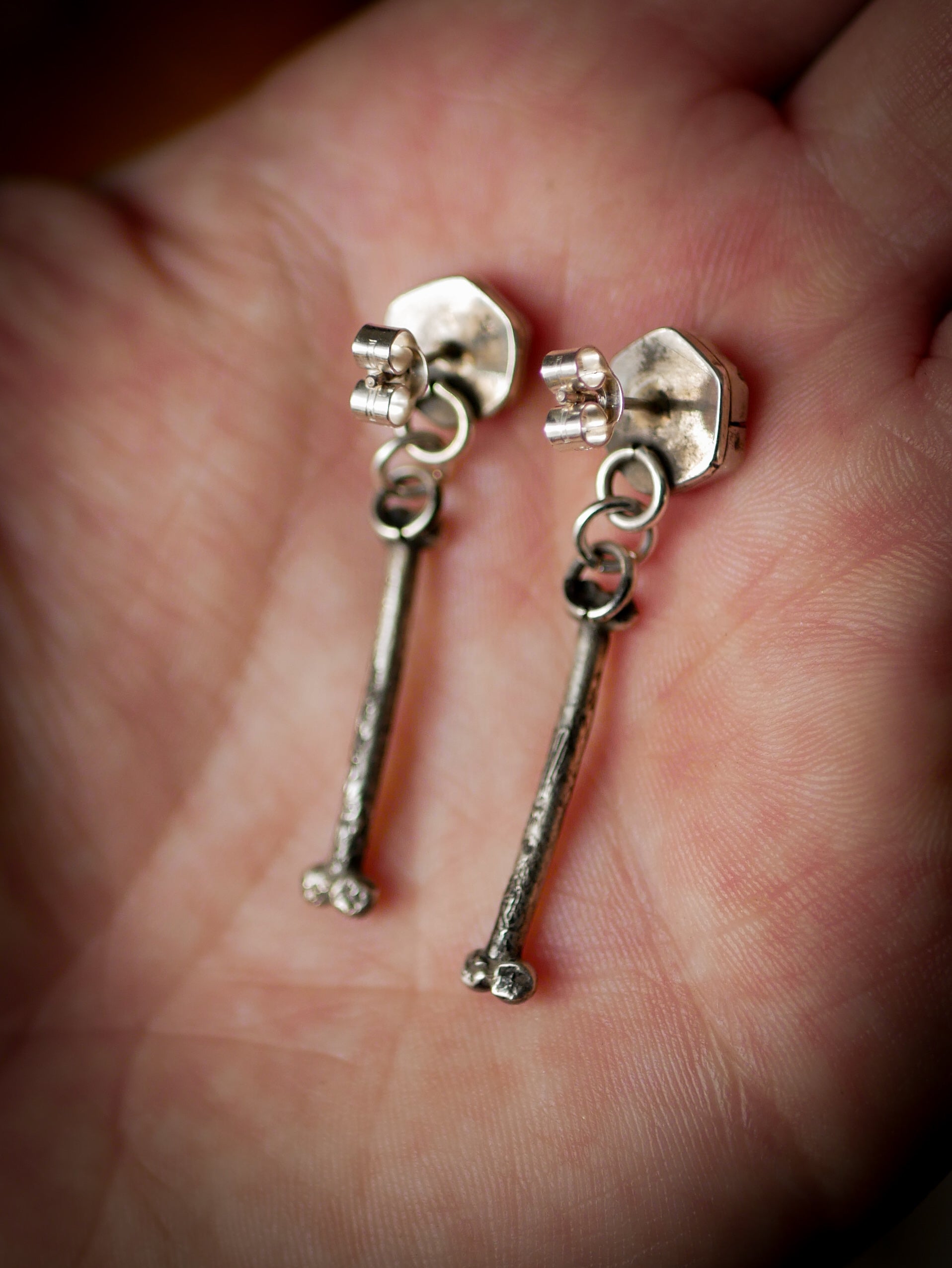 The Ossuary - Gibeon meteorite and silver earrings