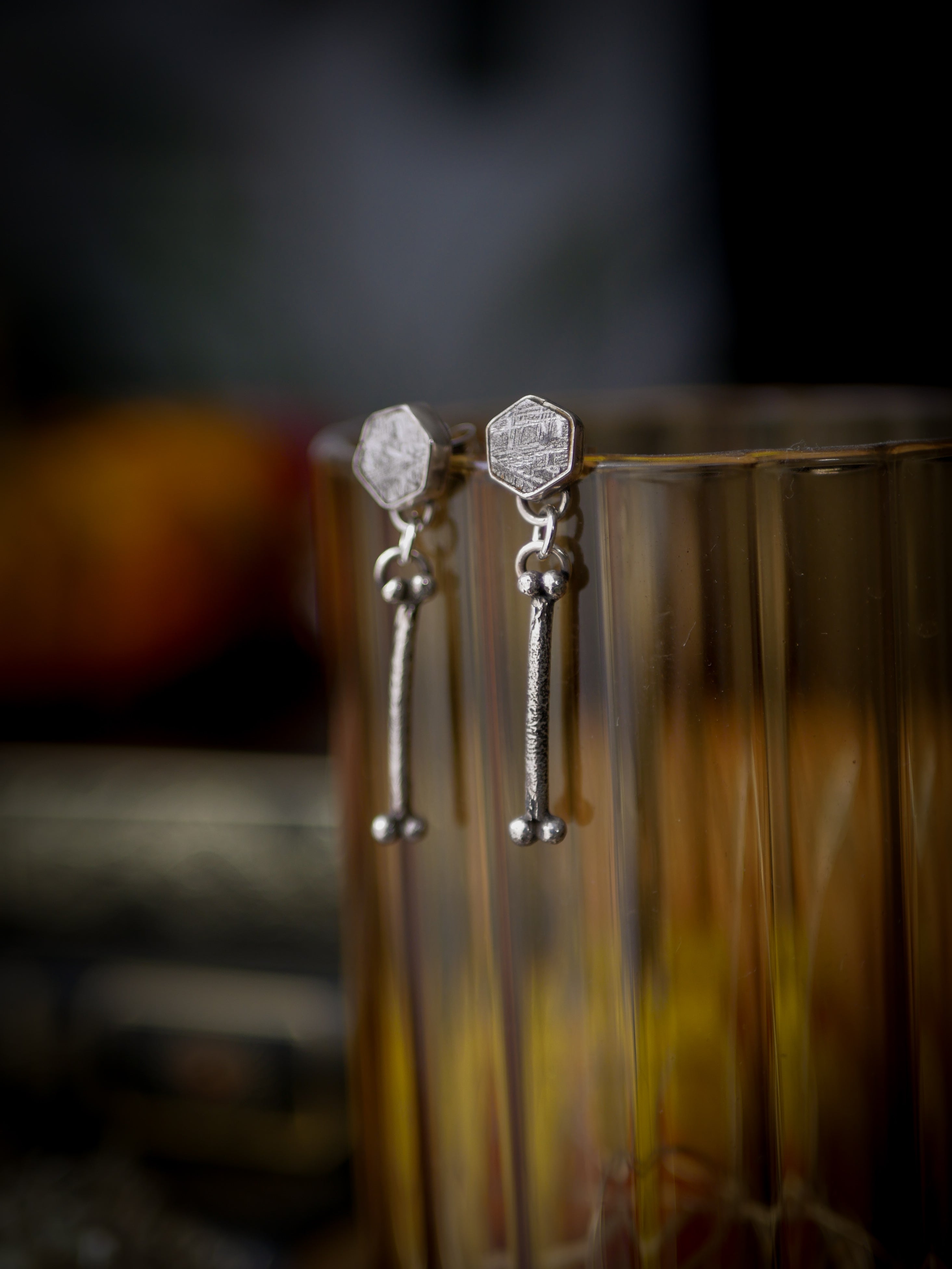 The Ossuary - Gibeon meteorite and silver earrings