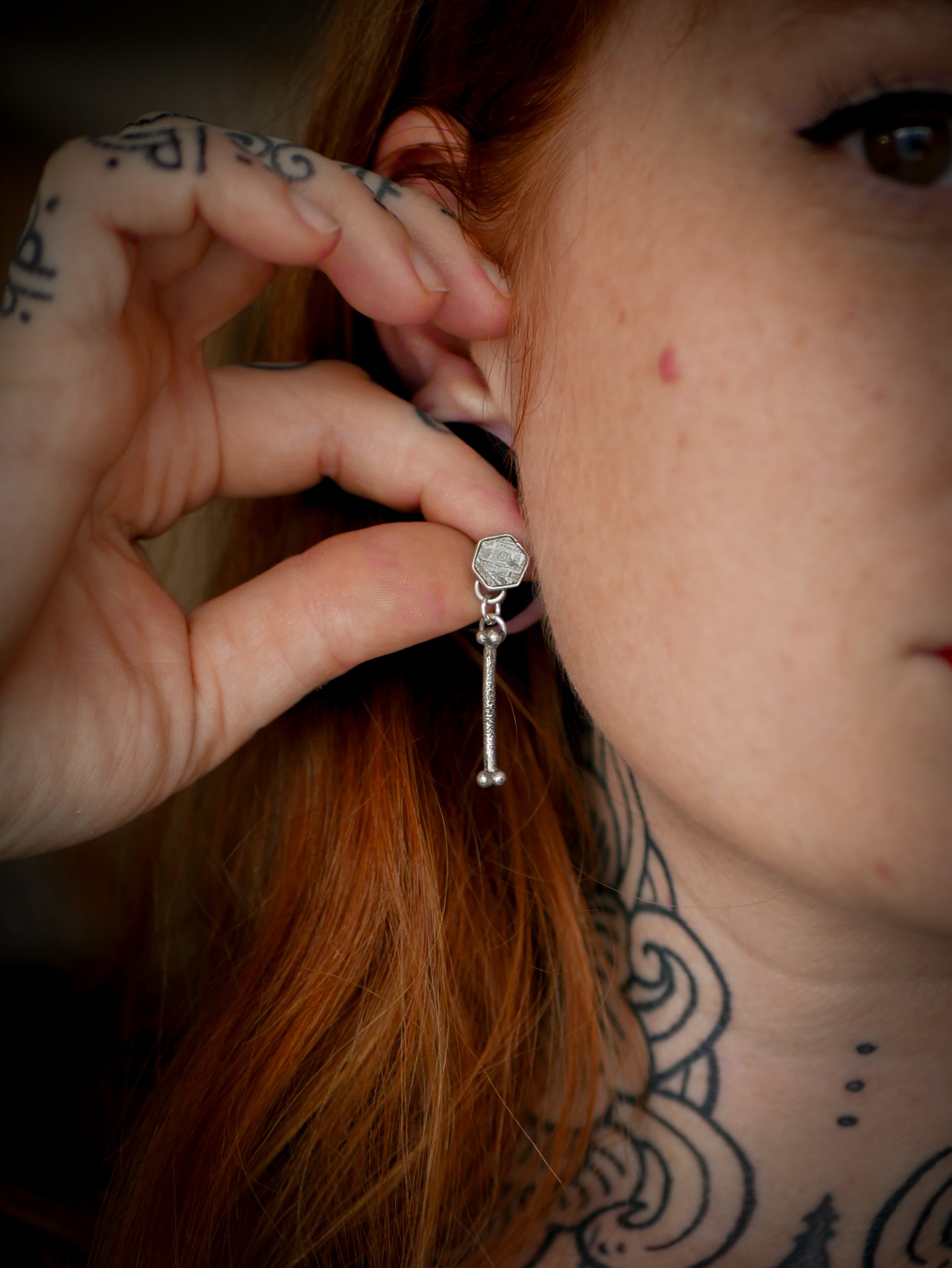 The Ossuary - Gibeon meteorite and silver earrings