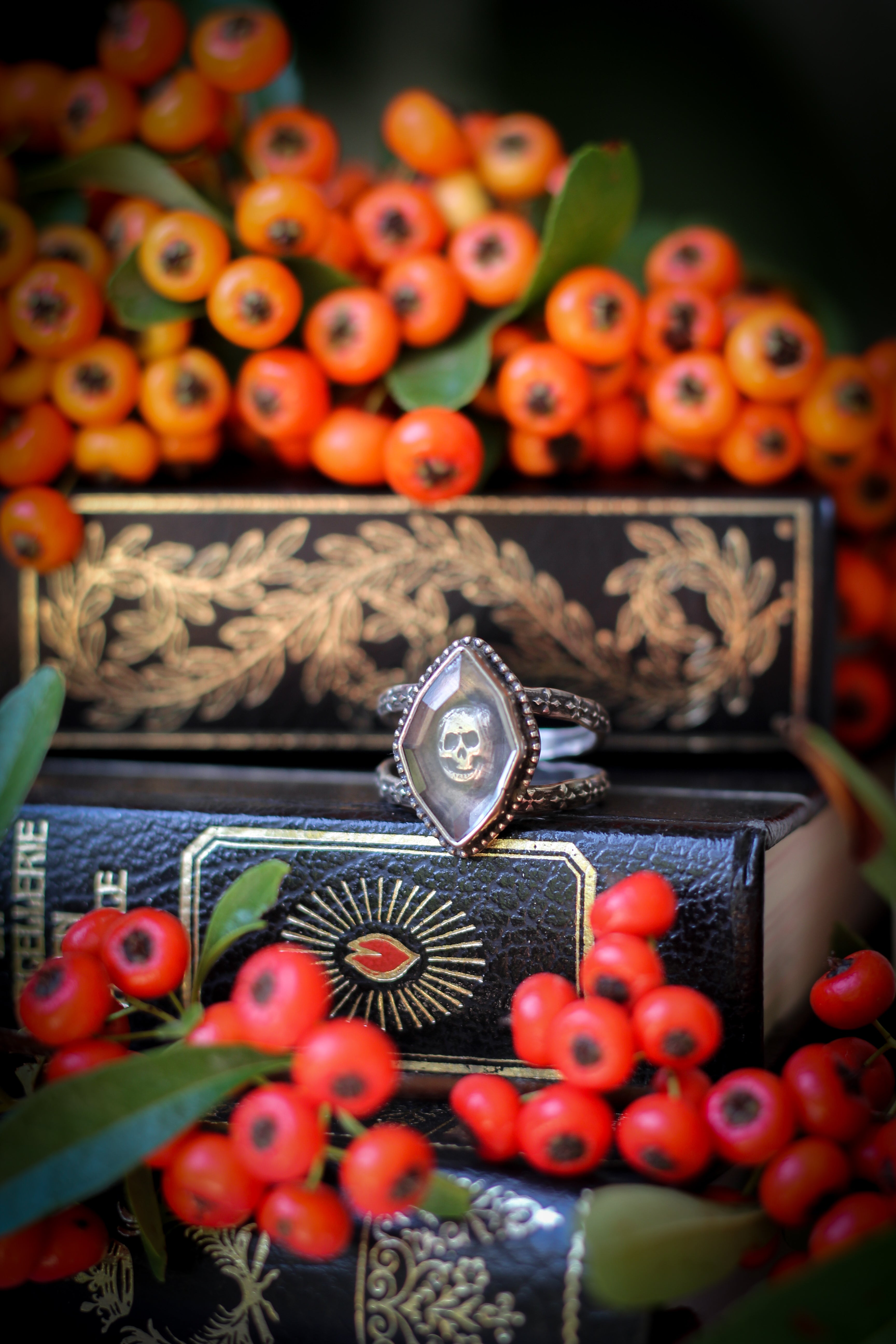 Les Catacombes Oubliées - Bague en cristal de l'Himalaya facetté et argent, crâne forgé