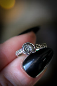 Earth Witch - Bague en fossile d'ammonite et argent