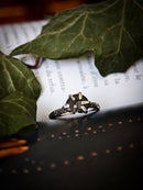 EarthMagick - Bague en fossile d'ammonite véritable et argent