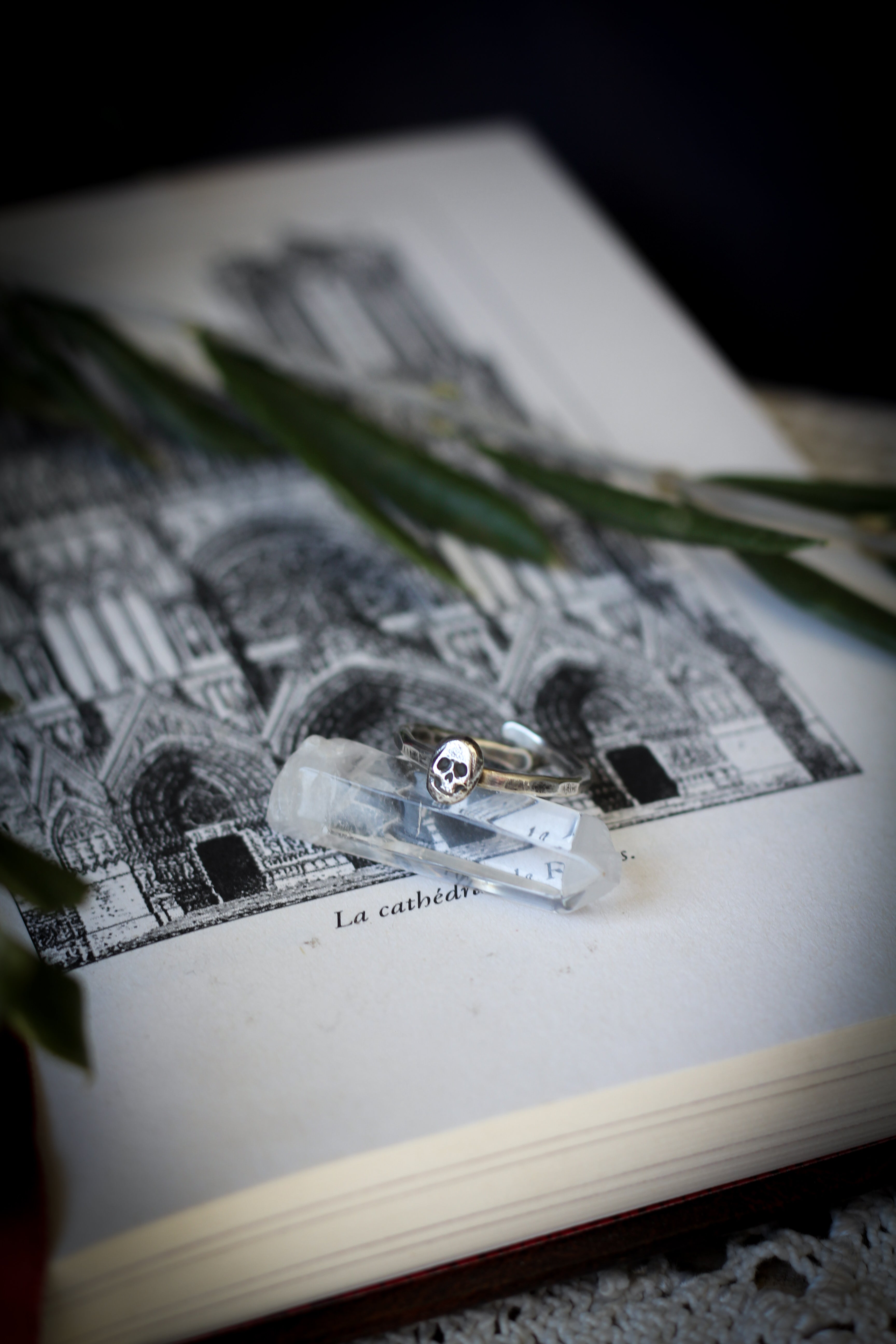 Memento Mori - Anello in argento, teschio forgiato