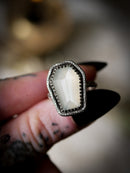 Nosferatu - Anello a bara in pietra di luna bianca sfaccettata e argento