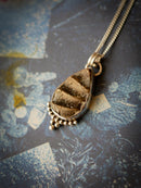 Magie Ancestrale - Collier en fossile d'ammonite et argent, étoile du Nord au dos