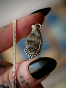 Magie Ancestrale - Collier en fossile d'ammonite et argent, étoile du Nord au dos