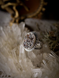 Helios - Astrophyllite and silver ring