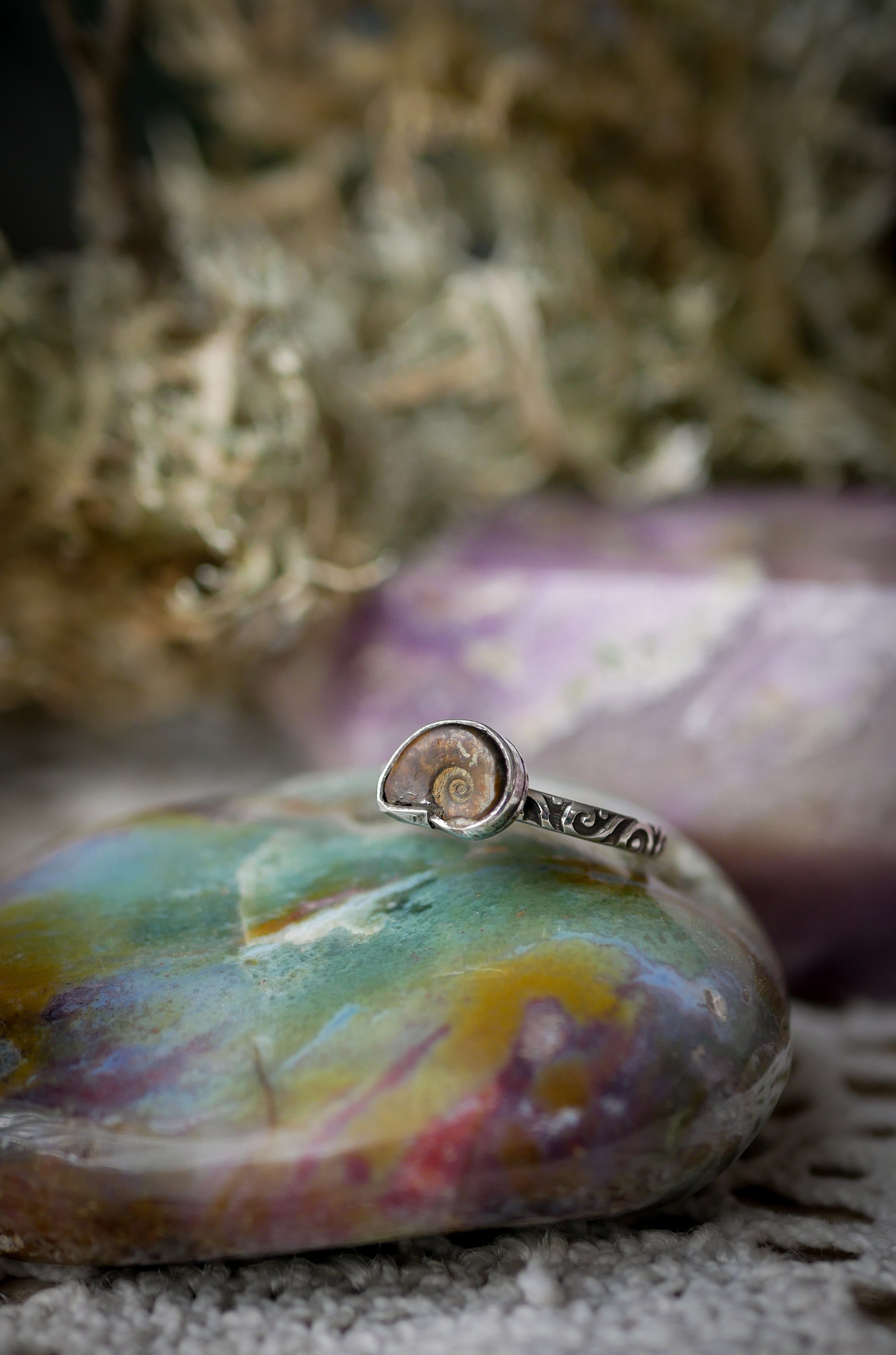 Fossilia - Ammonite Fossil and Silver Ring