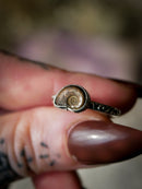 Fossilia - Ammonite Fossil and Silver Ring