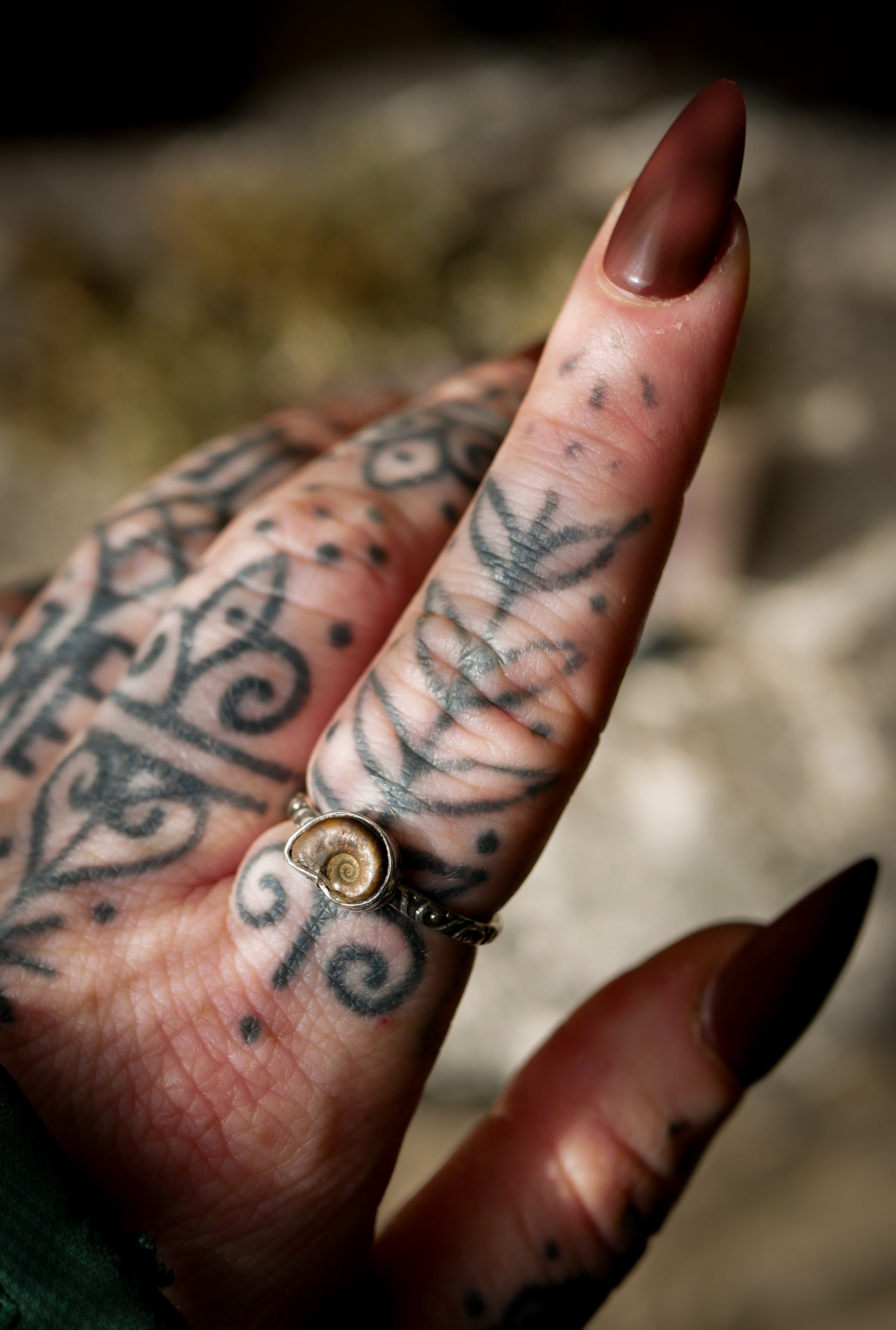 Fossilia - Ammonite Fossil and Silver Ring