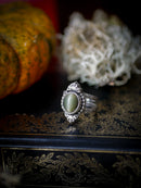 Nosferatu - Actinolite and Silver Ring