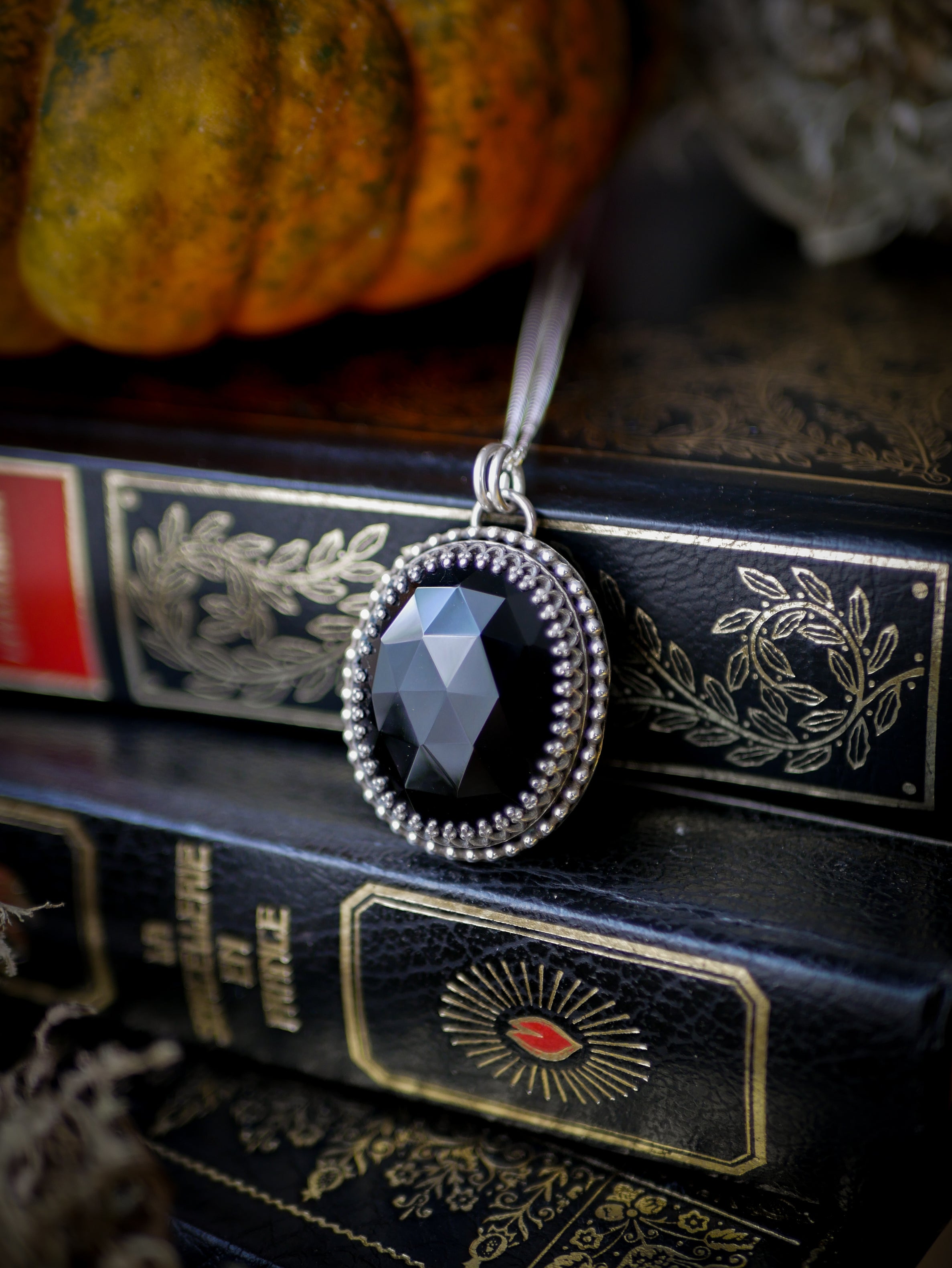 The Omen - Faceted black onyx and silver necklace, raven on the back