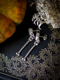 The Ossuary - Gibeon meteorite and silver earrings
