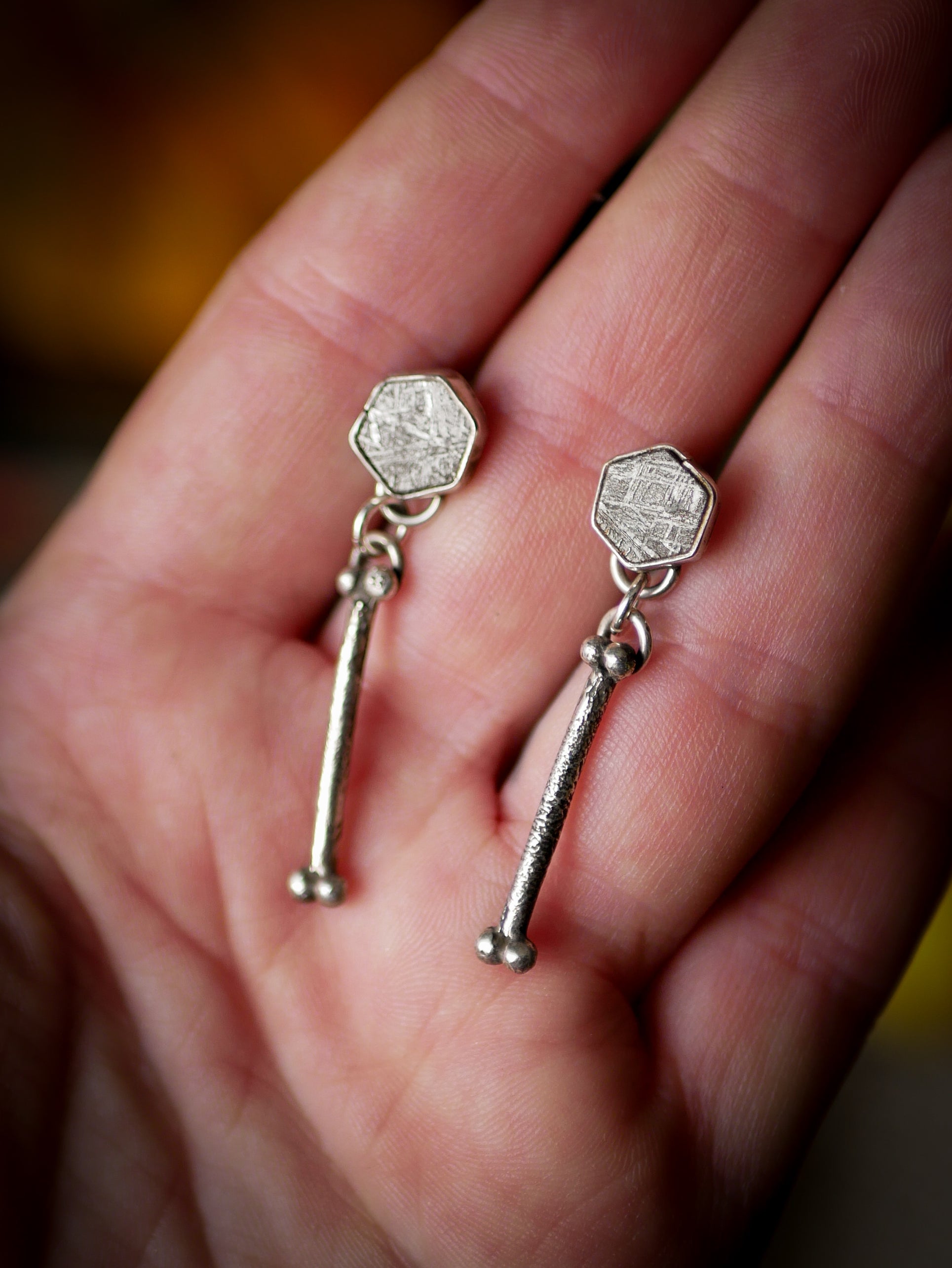 The Ossuary - Gibeon meteorite and silver earrings