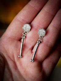 The Ossuary - Gibeon meteorite and silver earrings