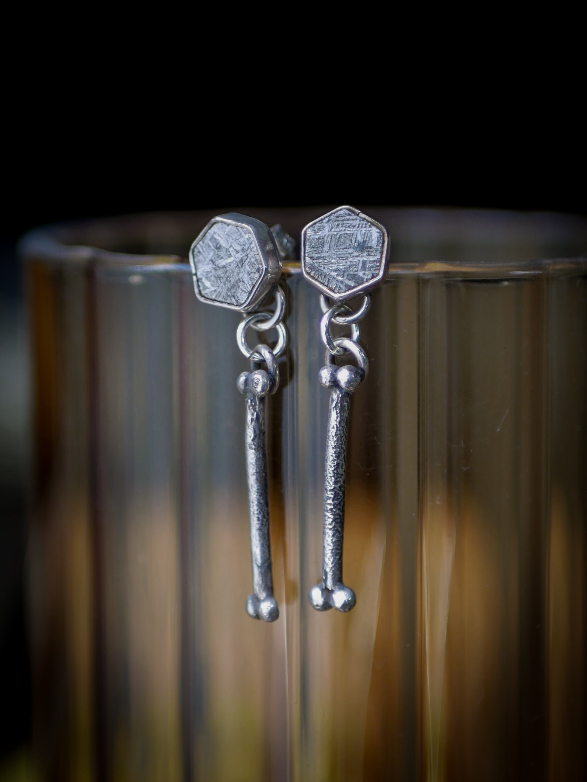 The Ossuary - Gibeon meteorite and silver earrings