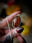 The Veil - Baltic amber and silver necklace, chrysanthemum on the back