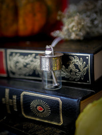 The Necromancer - Silver, Glass, Coffin Nail, and Raw Ruby Vial Necklace