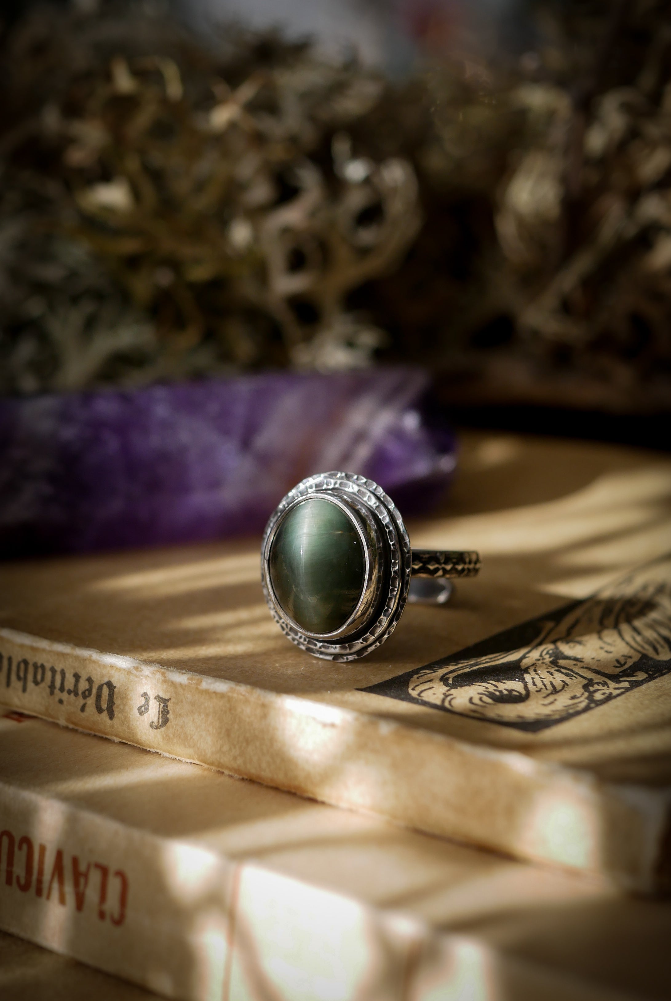 L'Œil de l'Ouroboros - Bague en actinolite et argent