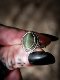 L'Œil de l'Ouroboros - Bague en actinolite et argent