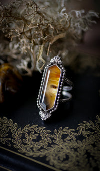 Sortilège de Nuit - Bague en agate du Montana et argent, chauves-souris forgées