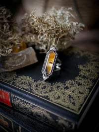 Sortilège de Nuit - Bague en agate du Montana et argent, chauves-souris forgées