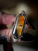 Sortilège de Nuit - Bague en agate du Montana et argent, chauves-souris forgées