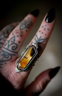 Sortilège de Nuit - Bague en agate du Montana et argent, chauves-souris forgées