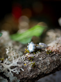 L'Occhio della Pizia - Anello in labradorite sfaccettata e argento