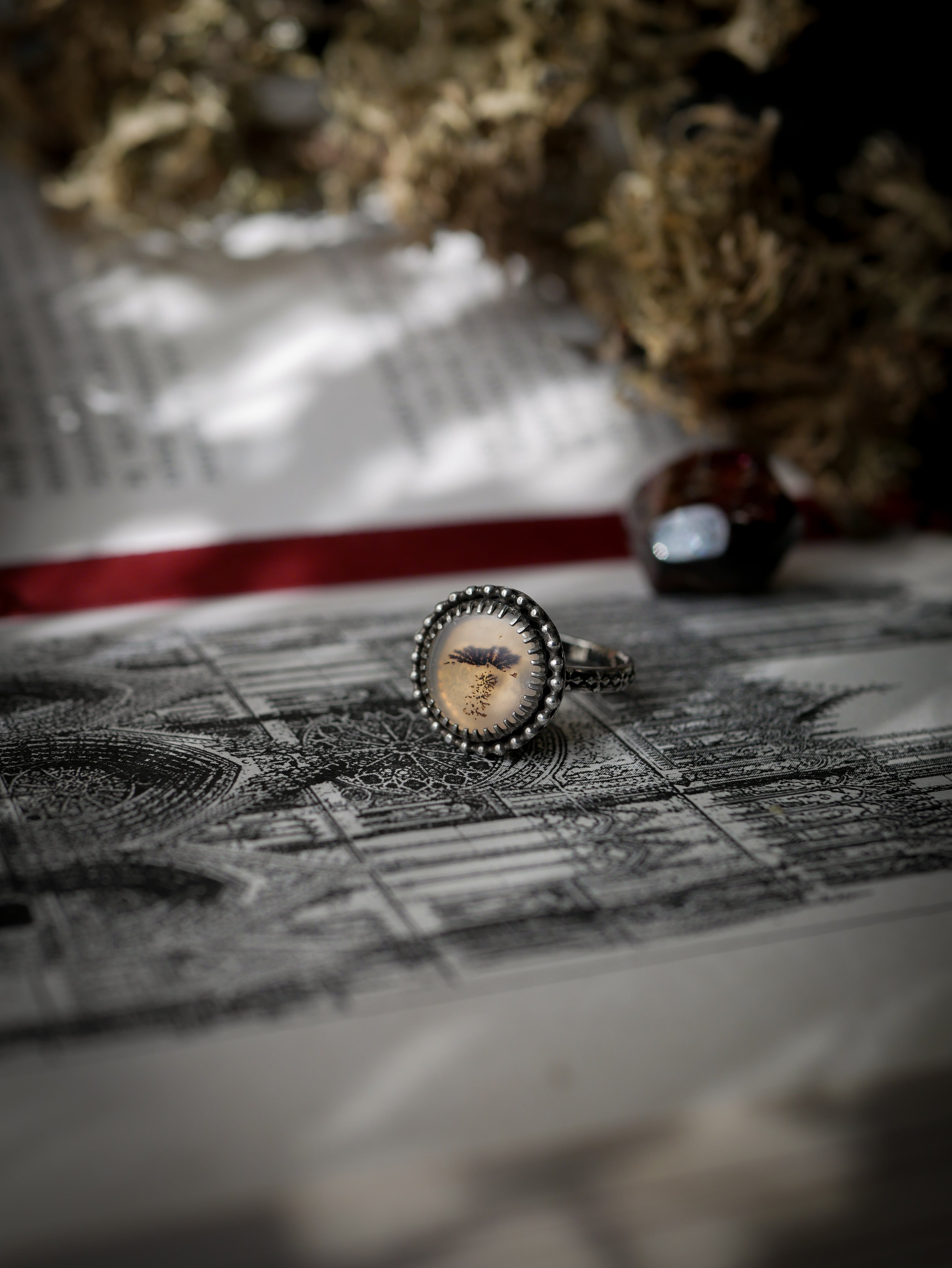 Corvus - Bague en agate scénique et argent