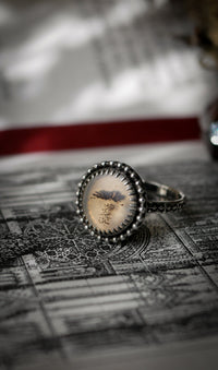 Corvus - Bague en agate scénique et argent