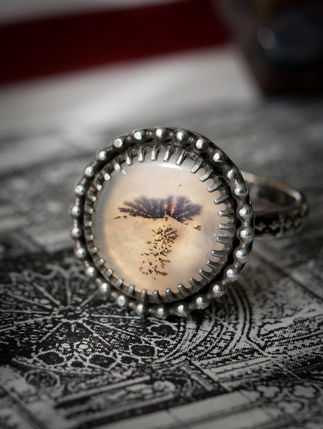 Corvus - Bague en agate scénique et argent