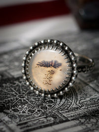 Corvus - Bague en agate scénique et argent