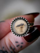 Corvus - Bague en agate scénique et argent