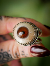 L'Œil de la Providence - Bague en argent et prothèse oculaire vintage